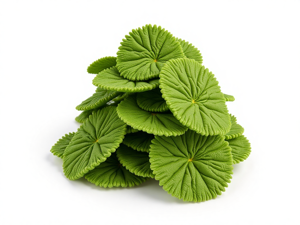 Crispy Crunchy Kale Chips