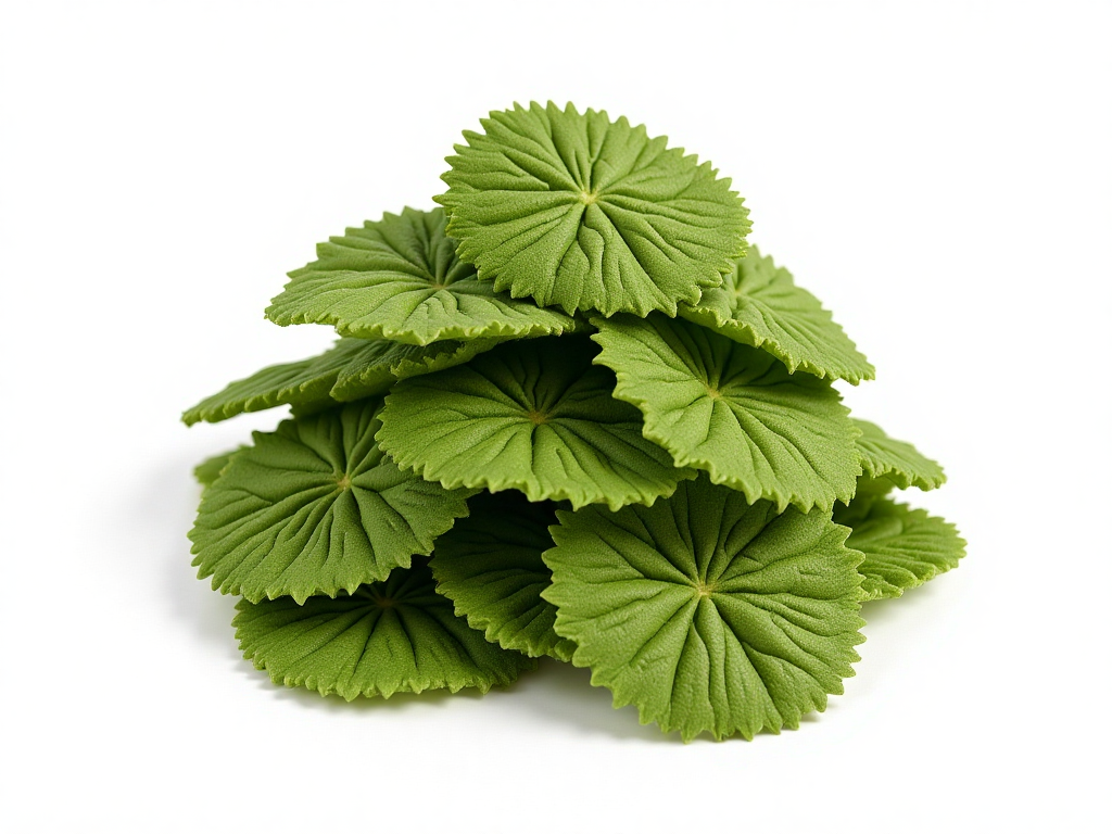 Crunchy Organic Kale Chips